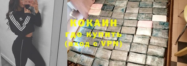 дмт Богданович