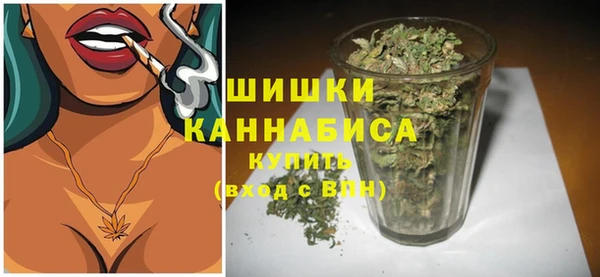 дмт Богданович