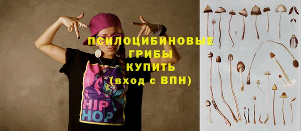 стафф Богородицк