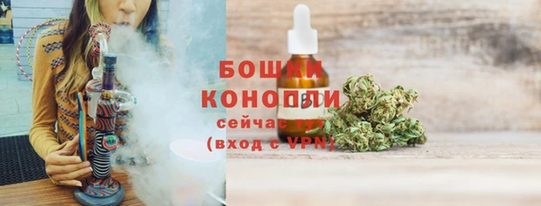дмт Богданович