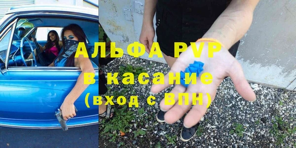 стафф Богородицк