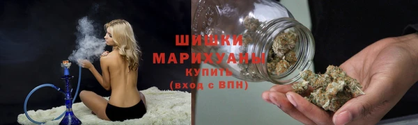 стафф Богородицк