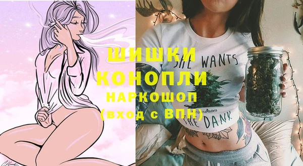 стафф Богородицк