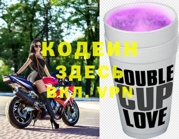 дмт Богданович