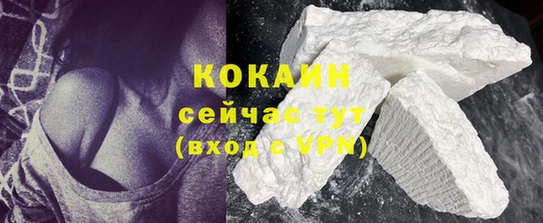 дмт Богданович