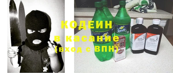 дмт Богданович