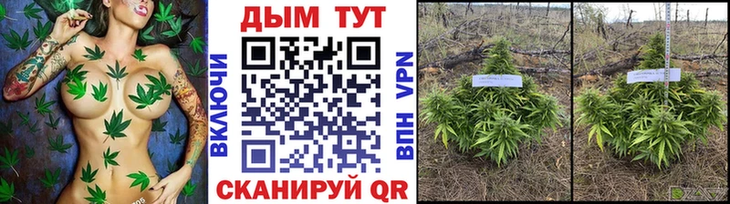 Каннабис Bruce Banner хочу Надым